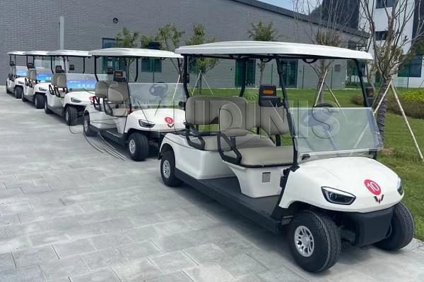 Electric Golf Carts - Premium Electric Golf carts